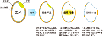 最適精米